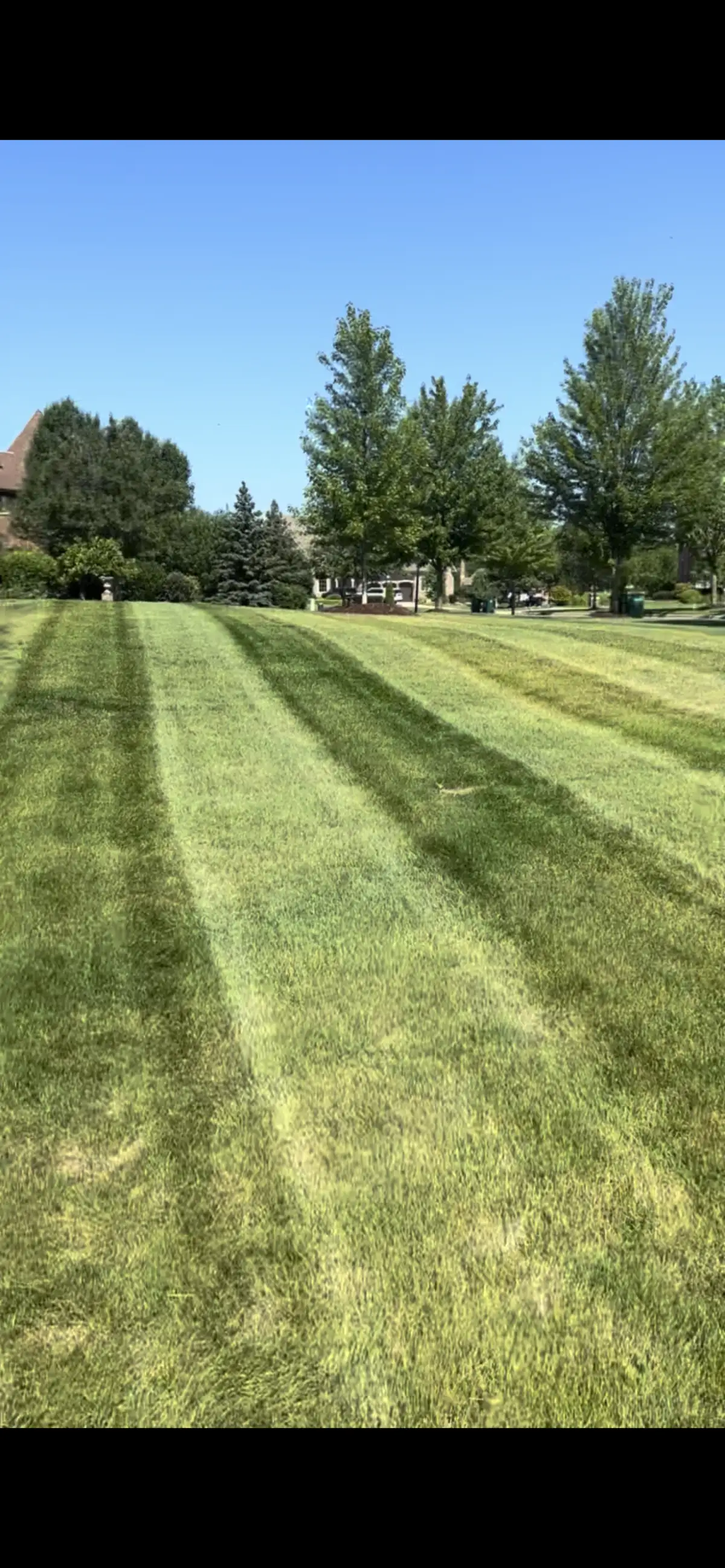 Professional lawn striping on a Batavia, IL residential property